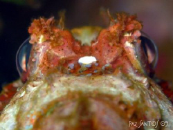 Scorpionfish eyes by Paz Maria De Vera-Santos 